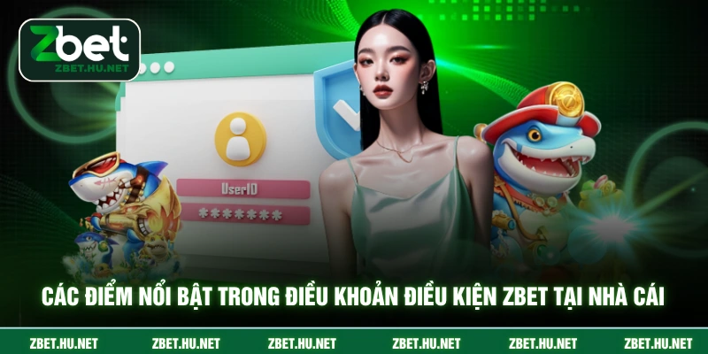 Các điểm nổi bật trong điều khoản điều kiện ZBET tại nhà cái